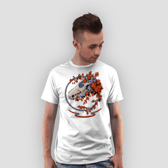 Vulpes Vulpes Fox