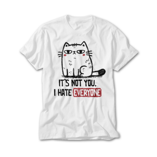 Its Not You I Hate Everyone